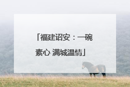 福建诏安：一碗素心 满城温情