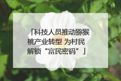 科技人员推动猕猴桃产业转型 为村民解锁“富民密码”