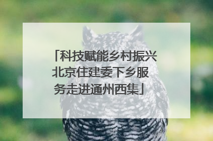 科技赋能乡村振兴 北京住建委下乡服务走进通州西集