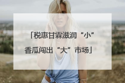 税惠甘霖滋润“小”香瓜闯出“大”市场