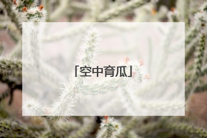 空中育瓜