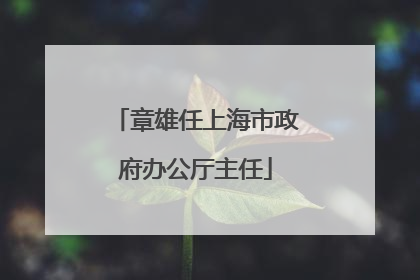 章雄任上海市政府办公厅主任