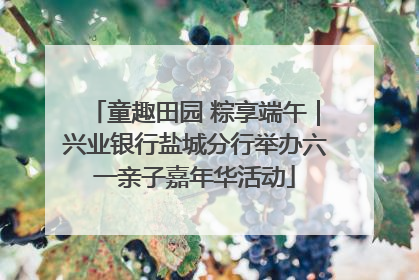 童趣田园 粽享端午｜兴业银行盐城分行举办六一亲子嘉年华活动