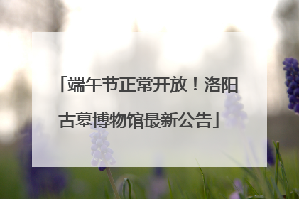 端午节正常开放！洛阳古墓博物馆最新公告