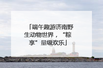 端午趣游济南野生动物世界，“粽享”量级欢乐