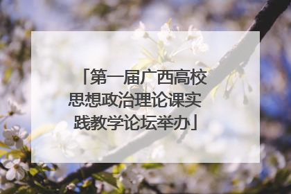 第一届广西高校思想政治理论课实践教学论坛举办