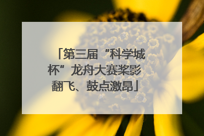 第三届“科学城杯”龙舟大赛桨影翻飞、鼓点激昂