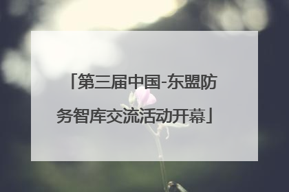 第三届中国-东盟防务智库交流活动开幕