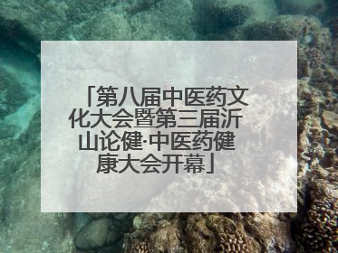 第八届中医药文化大会暨第三届沂山论健·中医药健康大会开幕