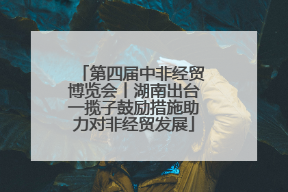 第四届中非经贸博览会丨湖南出台一揽子鼓励措施助力对非经贸发展
