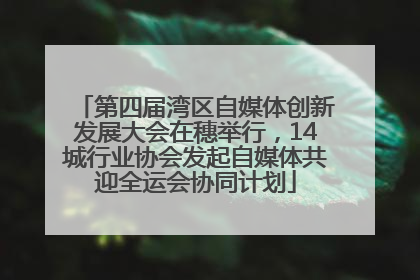 第四届湾区自媒体创新发展大会在穗举行，14城行业协会发起自媒体共迎全运会协同计划