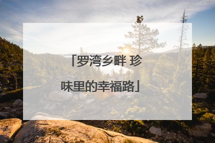 罗湾乡畔 珍味里的幸福路
