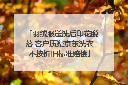 羽绒服送洗后印花脱落 客户质疑京东洗衣不按折旧标准赔偿