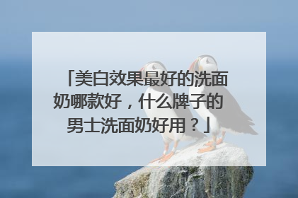 美白效果最好的洗面奶哪款好，什么牌子的男士洗面奶好用？