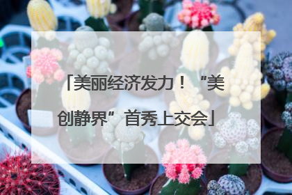 美丽经济发力！“美创静界”首秀上交会
