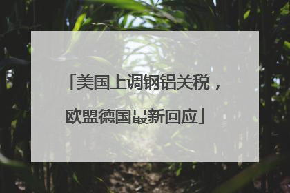 美国上调钢铝关税，欧盟德国最新回应