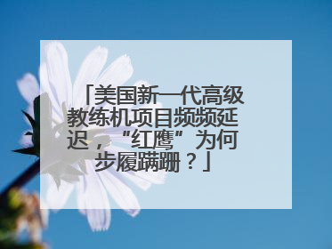 美国新一代高级教练机项目频频延迟，“红鹰”为何步履蹒跚？