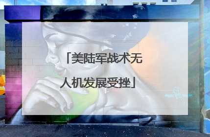 美陆军战术无人机发展受挫