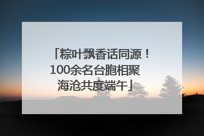 粽叶飘香话同源！100余名台胞相聚海沧共度端午