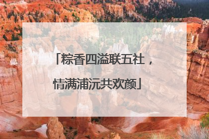 粽香四溢联五社，情满浦沅共欢颜