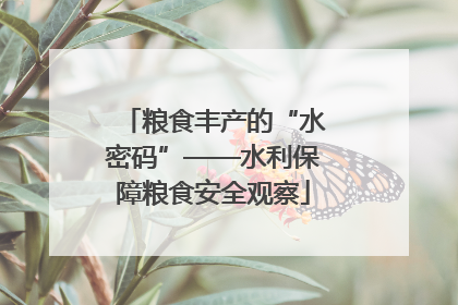 粮食丰产的“水密码”——水利保障粮食安全观察