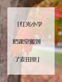 红光小学把课堂搬到了麦田里