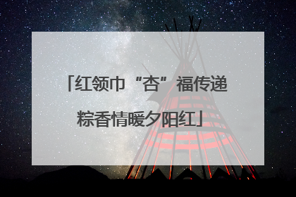 红领巾“杏”福传递 粽香情暖夕阳红