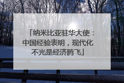 纳米比亚驻华大使：中国经验表明，现代化不光是经济腾飞