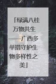 绿满八桂 万物共生——广西多举措守护生物多样性之美