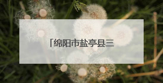 绵阳市盐亭县三元小学开展世界环境日系列活动