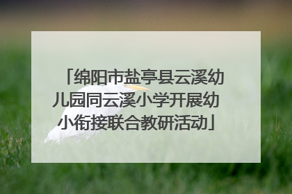 绵阳市盐亭县云溪幼儿园同云溪小学开展幼小衔接联合教研活动