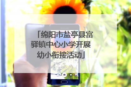 绵阳市盐亭县富驿镇中心小学开展幼小衔接活动