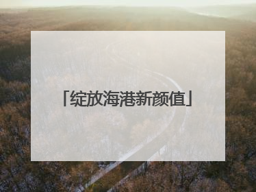 绽放海港新颜值