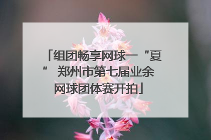 组团畅享网球一“夏” 郑州市第七届业余网球团体赛开拍