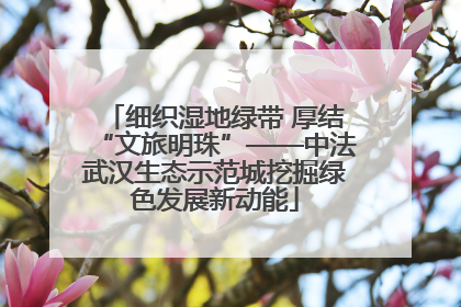 细织湿地绿带 厚结“文旅明珠”——中法武汉生态示范城挖掘绿色发展新动能