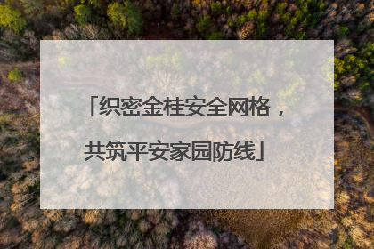 织密金桂安全网格，共筑平安家园防线