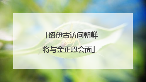 绍伊古访问朝鲜 将与金正恩会面