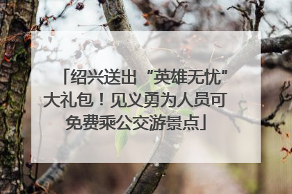 绍兴送出“英雄无忧”大礼包！见义勇为人员可免费乘公交游景点