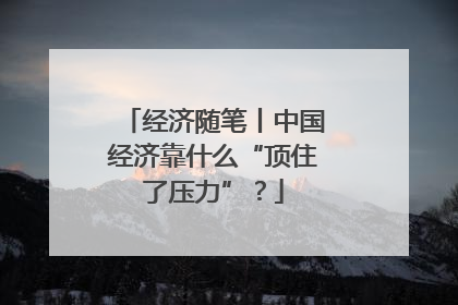 经济随笔丨中国经济靠什么“顶住了压力”？