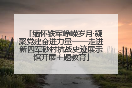 缅怀铁军峥嵘岁月·凝聚党建奋进力量——走进新四军砂村抗战史迹展示馆开展主题教育