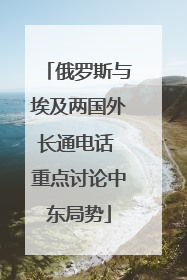 俄罗斯与埃及两国外长通电话 重点讨论中东局势