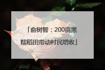 俞树智：200亩黑糯稻田带动村民增收