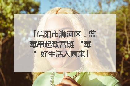 信阳市浉河区：蓝莓串起致富链 “莓”好生活入画来