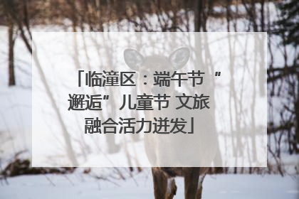 临潼区：端午节“邂逅”儿童节 文旅融合活力迸发