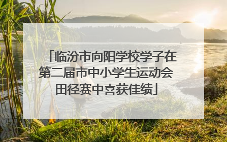 临汾市向阳学校学子在第二届市中小学生运动会田径赛中喜获佳绩