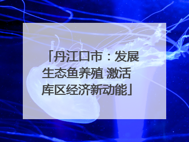 丹江口市：发展生态鱼养殖 激活库区经济新动能