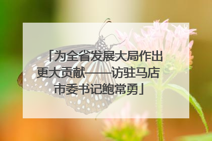 为全省发展大局作出更大贡献——访驻马店市委书记鲍常勇