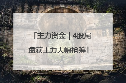 主力资金｜4股尾盘获主力大幅抢筹