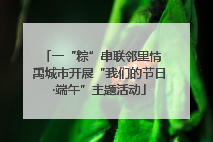 一“粽”串联邻里情 禹城市开展“我们的节日·端午”主题活动