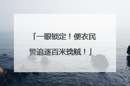一眼锁定！便衣民警追逐百米擒贼！